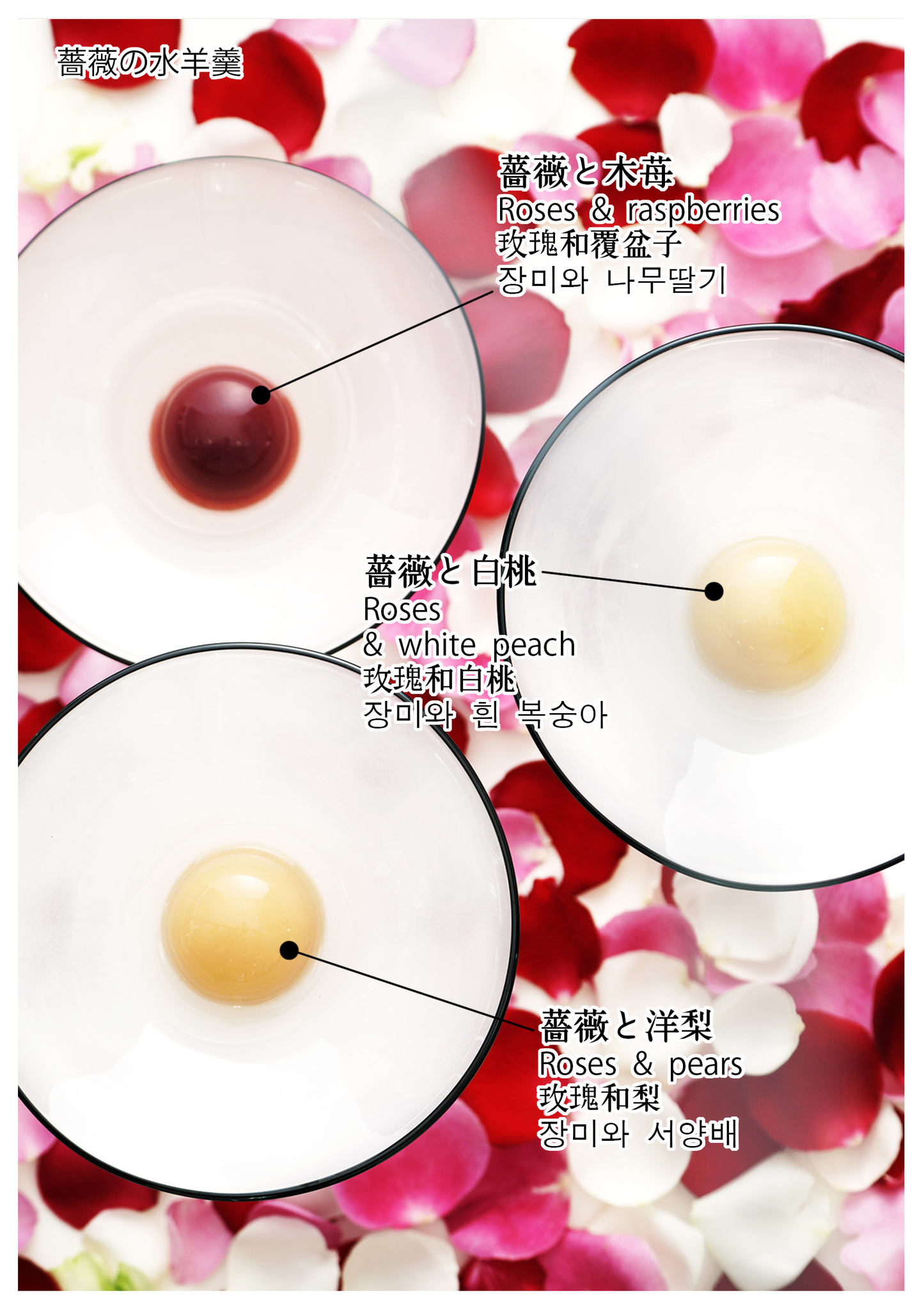 【2026年新発売】薔薇の水羊羹