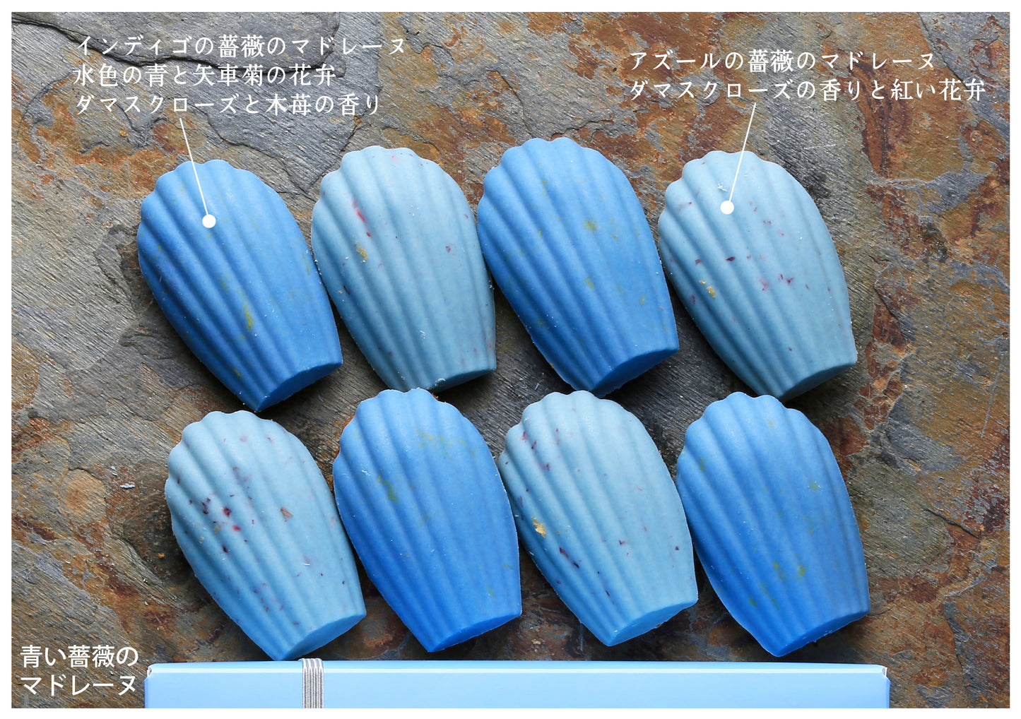 青い薔薇のマドレーヌ詰め合わせ
