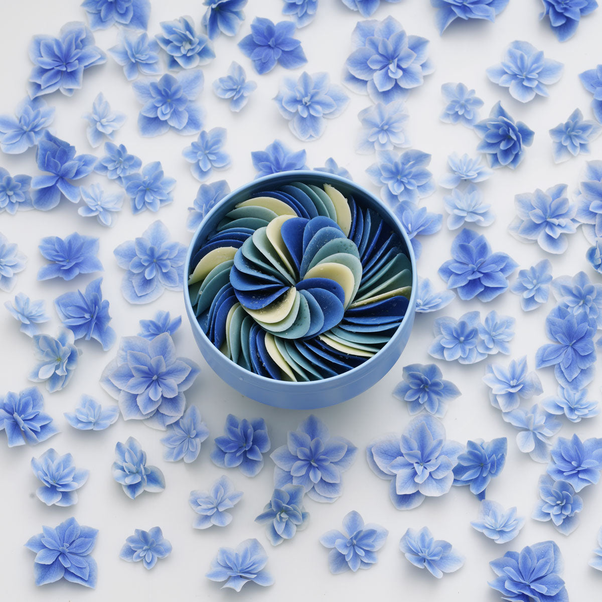 インディゴペタル