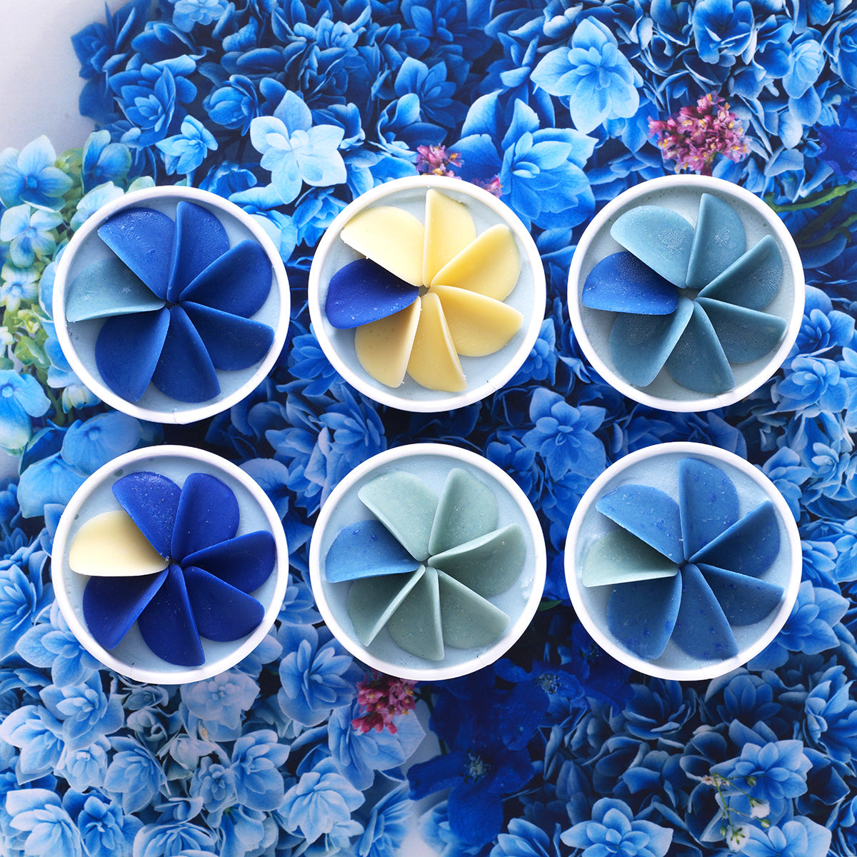 【WEB限定】ペタル・フルール・インディゴ