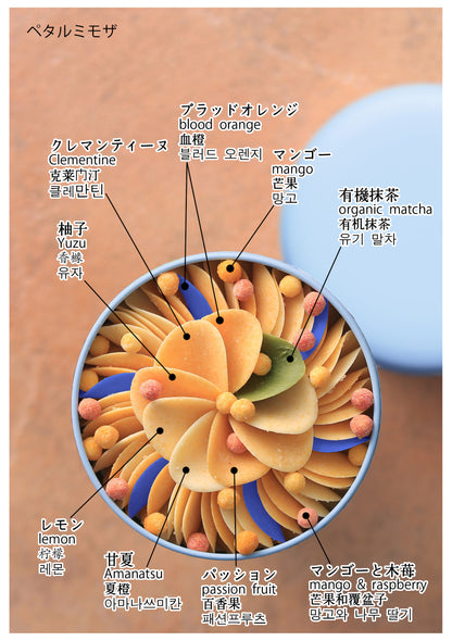 【春季限定】ペタルミモザ