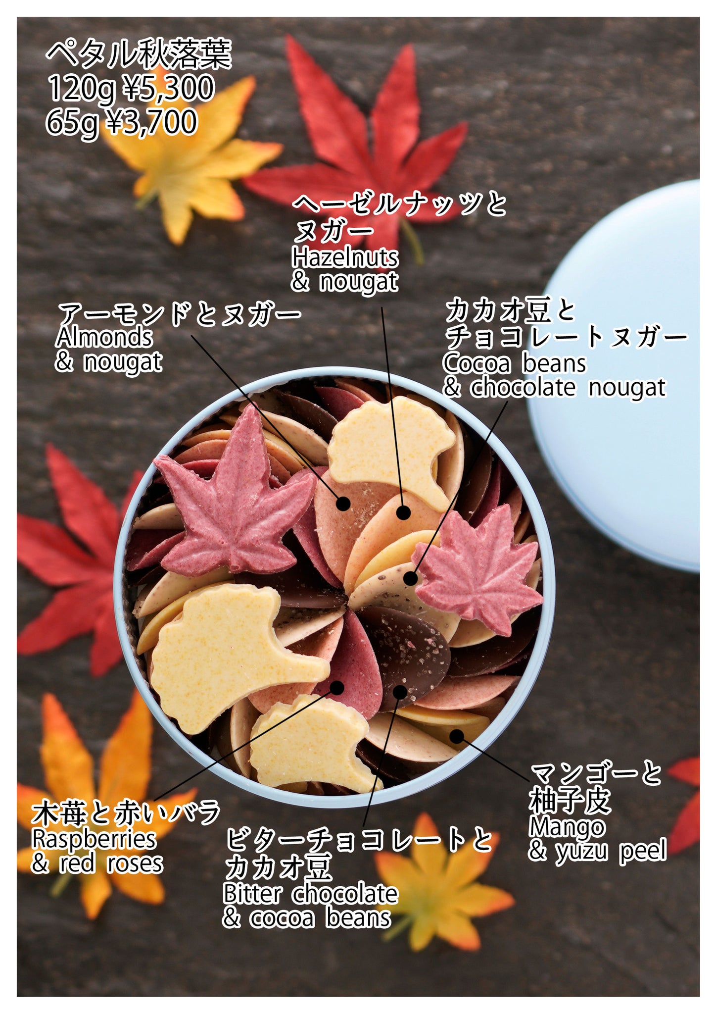 【9月7日販売開始】プティペタル秋落葉