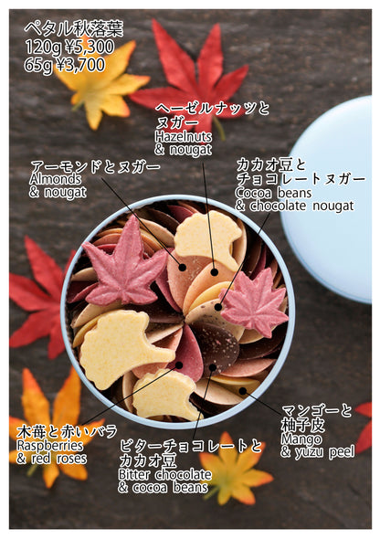 【9月7日販売開始】プティペタル秋落葉