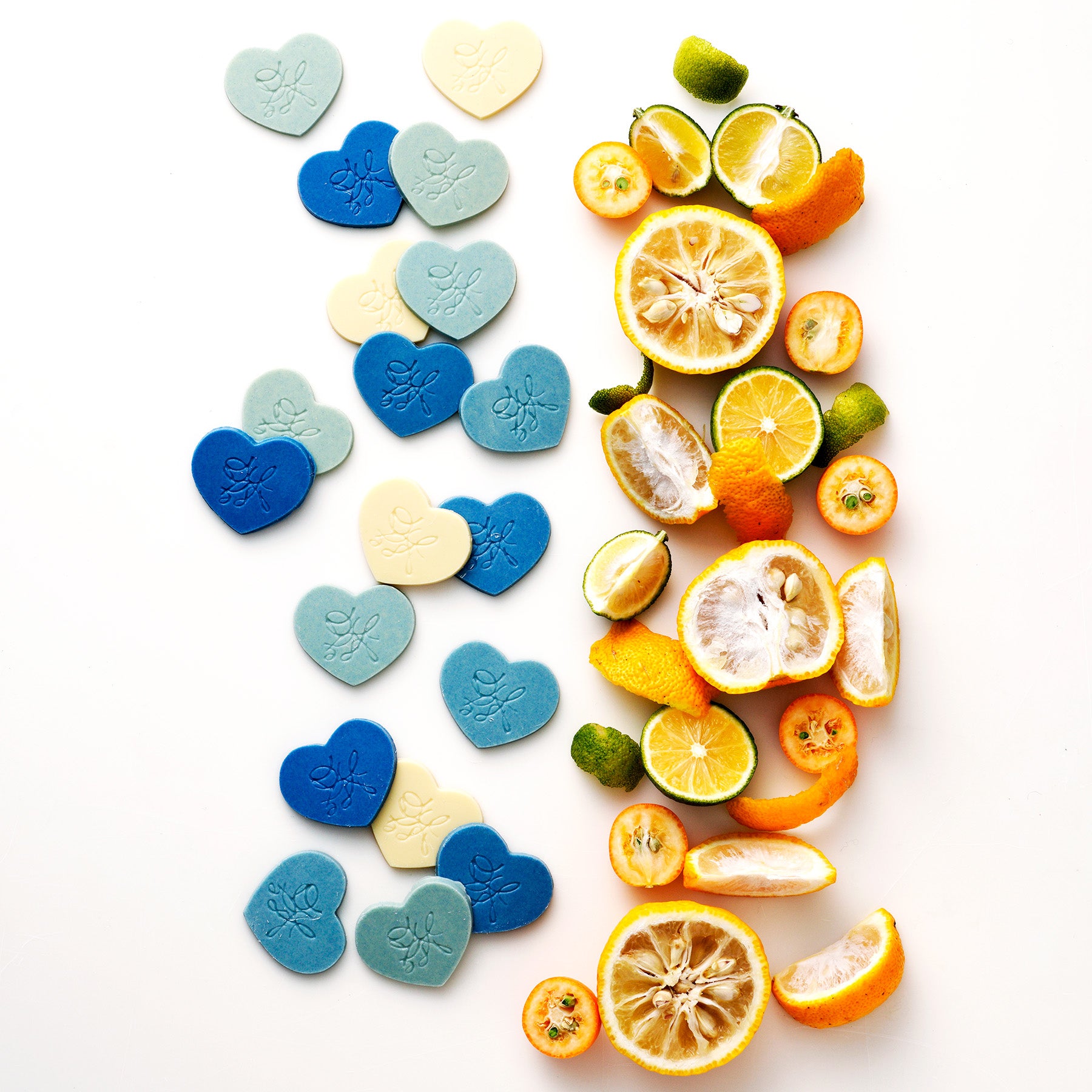 フレンチワルツインディゴ_イメージ