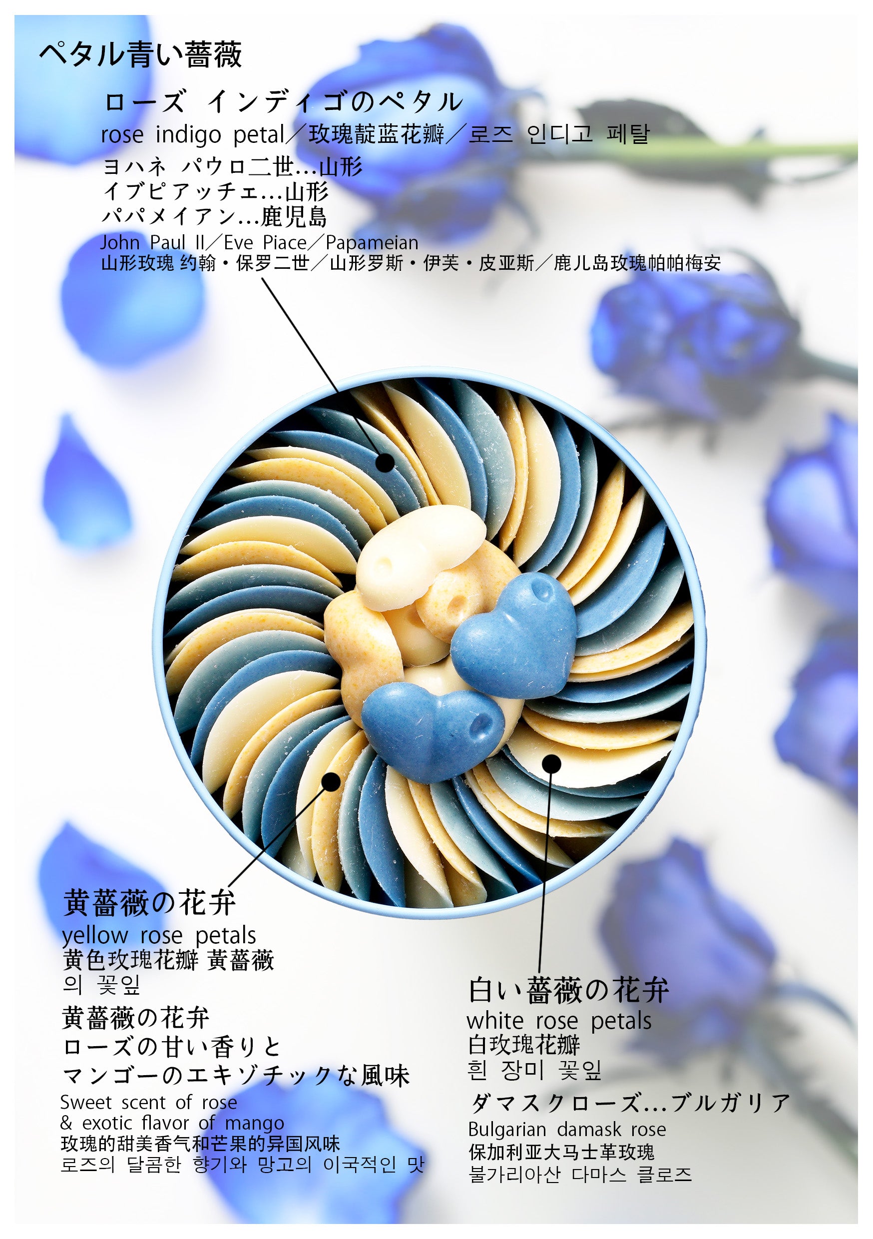 季節限定】プティコフレクール青い薔薇 – hotel the progress