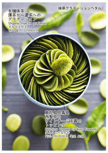 ペタル抹茶グラデーション