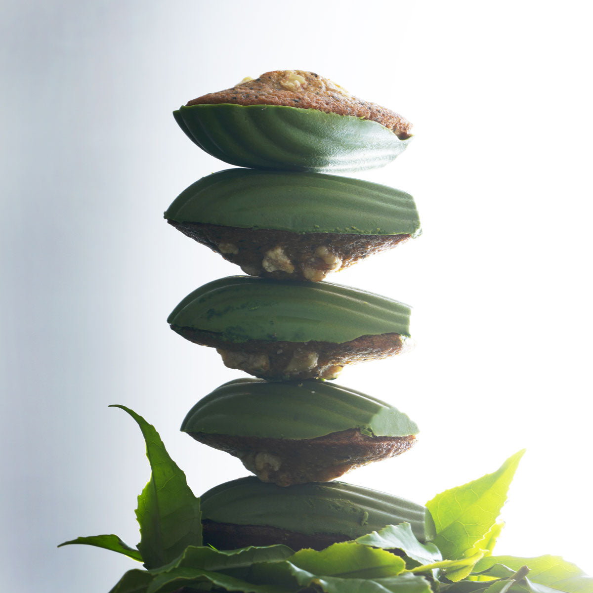 マドレーヌ 抹茶とほうじ茶 詰め合わせ