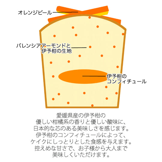 【数量限定】パウンドケイク 愛媛の伊予柑