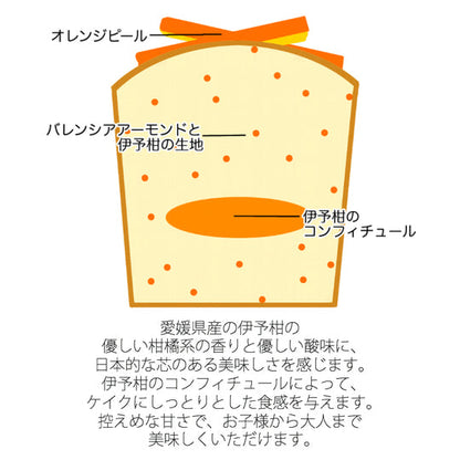 【数量限定】パウンドケイク 愛媛の伊予柑