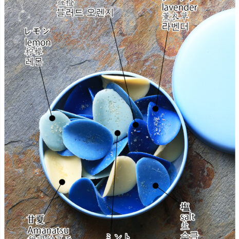 プログレスプティペタルインディゴ図解翻訳付き プログレスプティペタルインディゴ図解翻訳付き