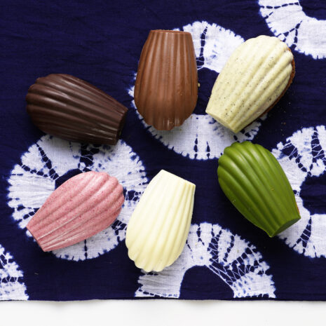 マドレーヌグラデーション2023イメージ1 マドレーヌグラデーション2023イメージ1