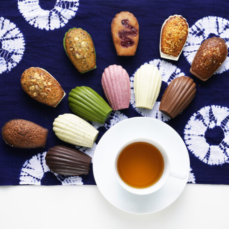 マドレーヌグラデーション2023イメージ3 マドレーヌグラデーション2023イメージ3