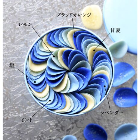 プログレス_インディゴ図解 プログレス_インディゴ図解