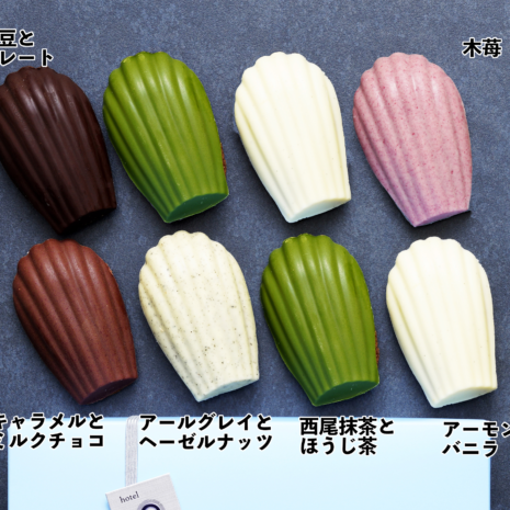 マドレーヌグラデーション2023図解プログレス マドレーヌグラデーション2023図解プログレス