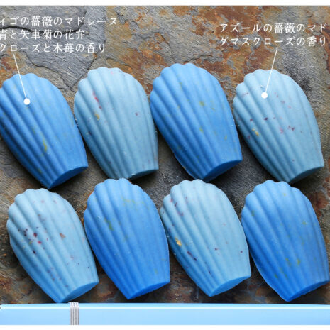 青い薔薇のマドレーヌ_図解_mini 青い薔薇のマドレーヌ_図解_mini