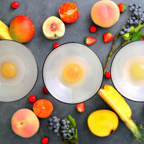 ジュレデセール2025_プログレス_集合2シャルドネ、パイナップル、へべす ジュレデセール2025_プログレス_集合2シャルドネ、パイナップル、へべす